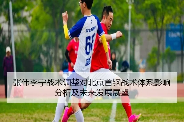 zhang-wei-li-ning-zhan-shu-tiao-zheng-dui-bei-jing-shou-gang-zhan-shu-ti-xi-ying-xiang-fen-xi-ji-wei-lai-fa-zhan-zhan-1-294.jpg